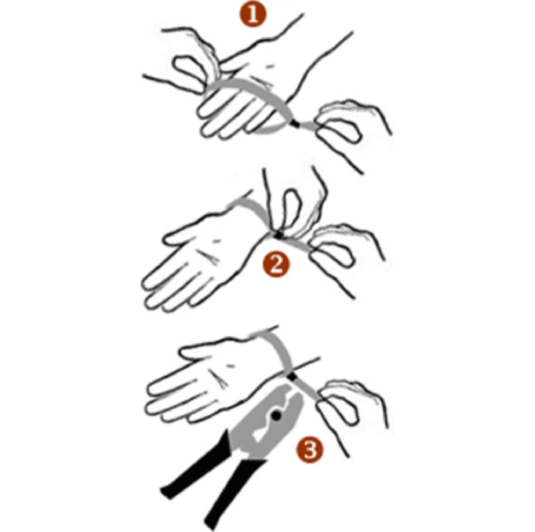 Die beiden Apothekenbesitzer auf dem Foto